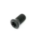 E-MO162078 Morini Torxschraube T20